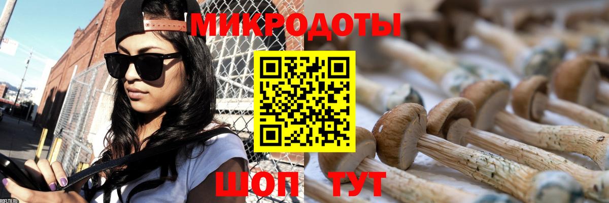 Псилоцибиновые грибы ЛСД  Вход с VPN  Галлюциногенные грибы Psilocybine cubensis  Ипатово 